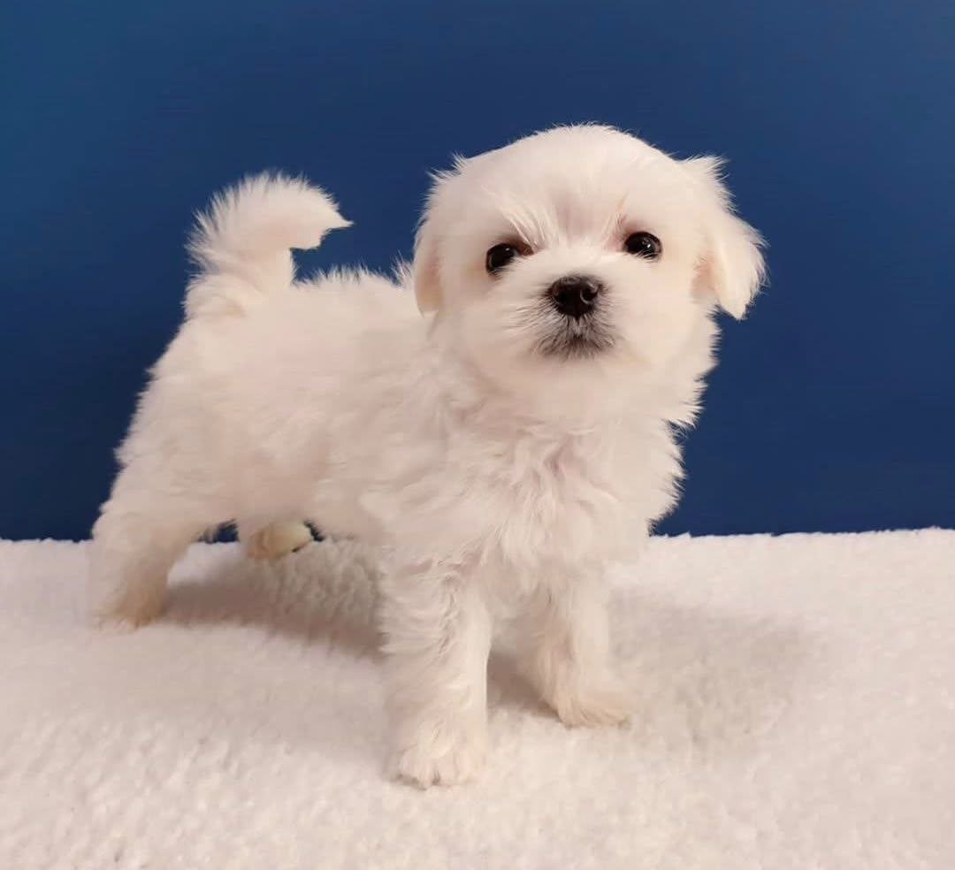 photo_1_2026-10-21_13-15-21
